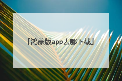 鸿蒙版app去哪下载