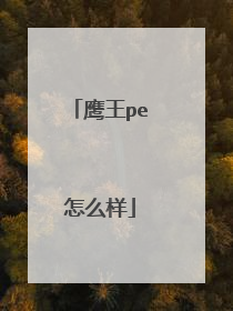 鹰王pe怎么样