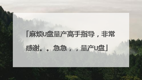 麻烦U盘量产高手指导,非常感谢。。急急,,量产U盘