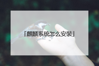 麒麟系统怎么安装
