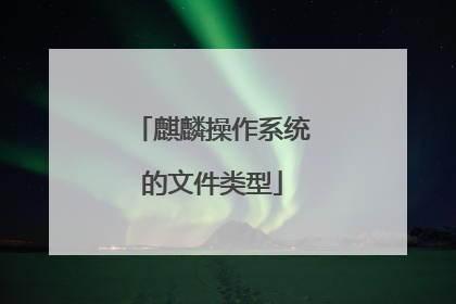 麒麟操作系统的文件类型