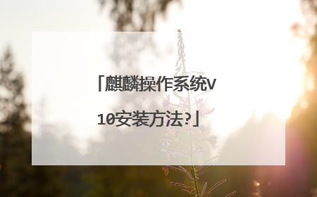 麒麟操作系统V10安装方法?