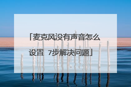 麦克风没有声音怎么设置 7步解决问题