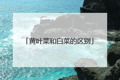 黄叶菜和白菜的区别