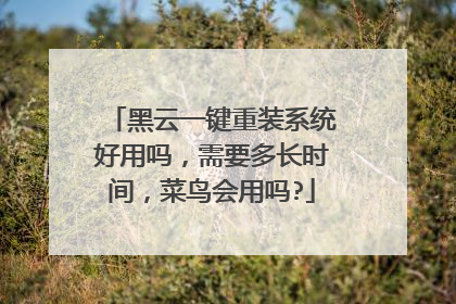 黑云一键重装系统好用吗,需要多长时间,菜鸟会用吗?