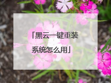 黑云一键重装系统怎么用