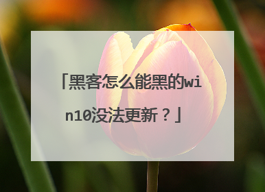 黑客怎么能黑的win10没法更新?