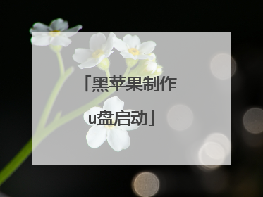 黑苹果制作u盘启动