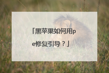 黑苹果如何用pe修复引导？