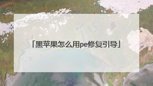 黑苹果怎么用pe修复引导