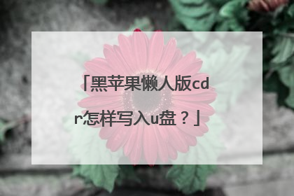 黑苹果懒人版cdr怎样写入u盘?