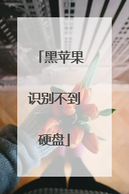 黑苹果识别不到硬盘