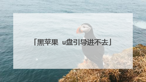 黑苹果 u盘引导进不去