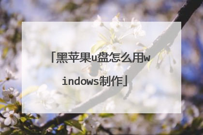黑苹果u盘怎么用windows制作