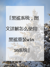 黑鲨系统,图文详解怎么使用黑鲨重装win10系统