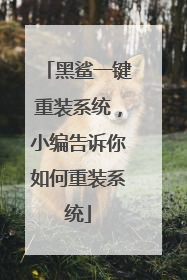 黑鲨一键重装系统,小编告诉你如何重装系统