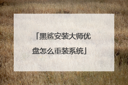 黑鲨安装大师优盘怎么重装系统
