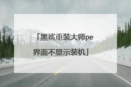 黑鲨重装大师pe界面不显示装机