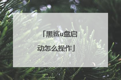 黑鲨u盘启动怎么操作