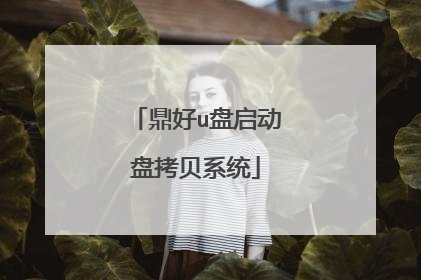 鼎好u盘启动盘拷贝系统