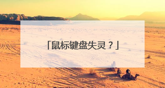 鼠标键盘失灵?