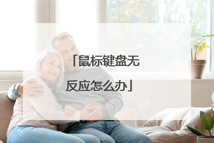 鼠标键盘无反应怎么办