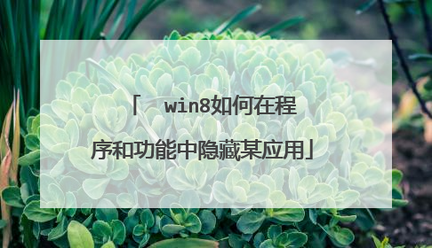  win8如何在程序和功能中隐藏某应用