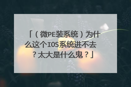 （微PE装系统）为什么这个IOS系统进不去？太大是什么鬼？
