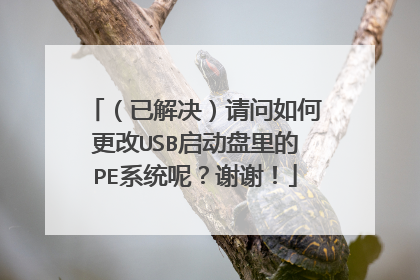 （已解决）请问如何更改USB启动盘里的PE系统呢？谢谢！