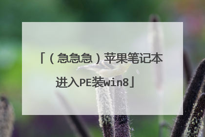 （急急急）苹果笔记本进入PE装win8