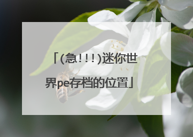 (急!!!)迷你世界pe存档的位置