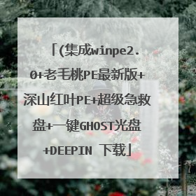 (集成winpe2.0+老毛桃PE最新版+深山红叶PE+超级急救盘+一键GHOST光盘+DEEPIN 下载