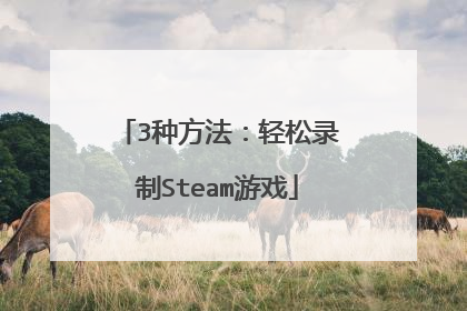 3种方法:轻松录制Steam游戏