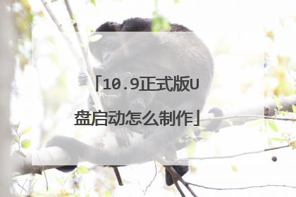 10.9正式版U盘启动怎么制作