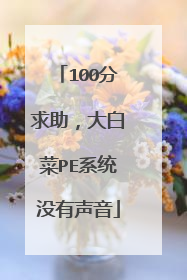 100分求助,大白菜PE系统没有声音