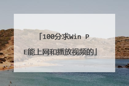 100分求Win PE能上网和播放视频的