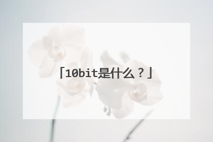 10bit是什么?