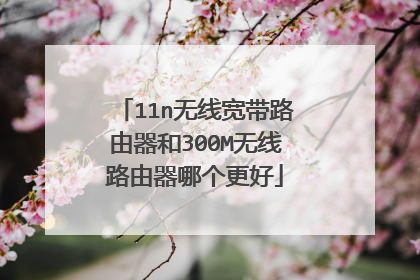 11n无线宽带路由器和300M无线路由器哪个更好