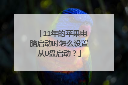 11年的苹果电脑启动时怎么设置从U盘启动?