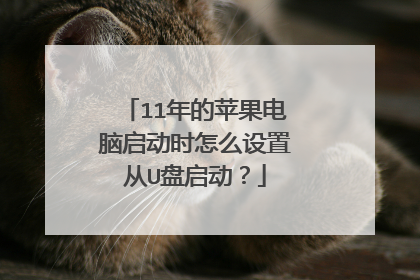 11年的苹果电脑启动时怎么设置从U盘启动？