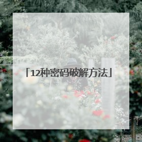12种密码破解方法