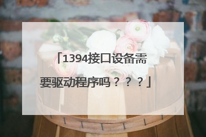 1394接口设备需要驱动程序吗???