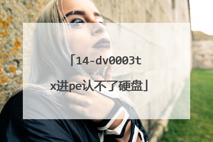 14-dv0003tx进pe认不了硬盘