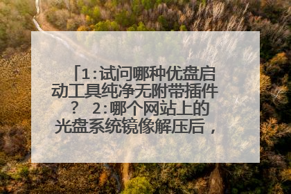 1:试问哪种优盘启动工具纯净无附带插件? 2:哪个网站上的光盘系统镜像解压后,进度条可以走到头无