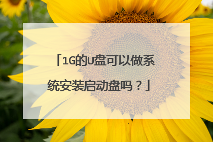 1G的U盘可以做系统安装启动盘吗?