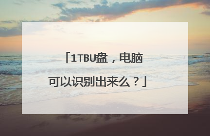 1TBU盘,电脑可以识别出来么?
