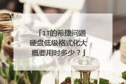 1T的希捷问题硬盘低级格式化大概要用时多少？