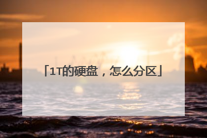 1T的硬盘，怎么分区