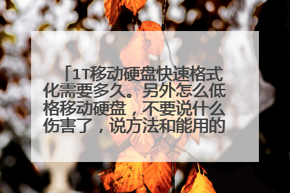 1T移动硬盘快速格式化需要多久。另外怎么低格移动硬盘,不要说什么伤害了,说方法和能用的软件,加分!