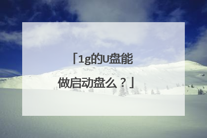 1g的U盘能做启动盘么?